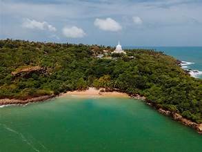 jungle beach Image 1