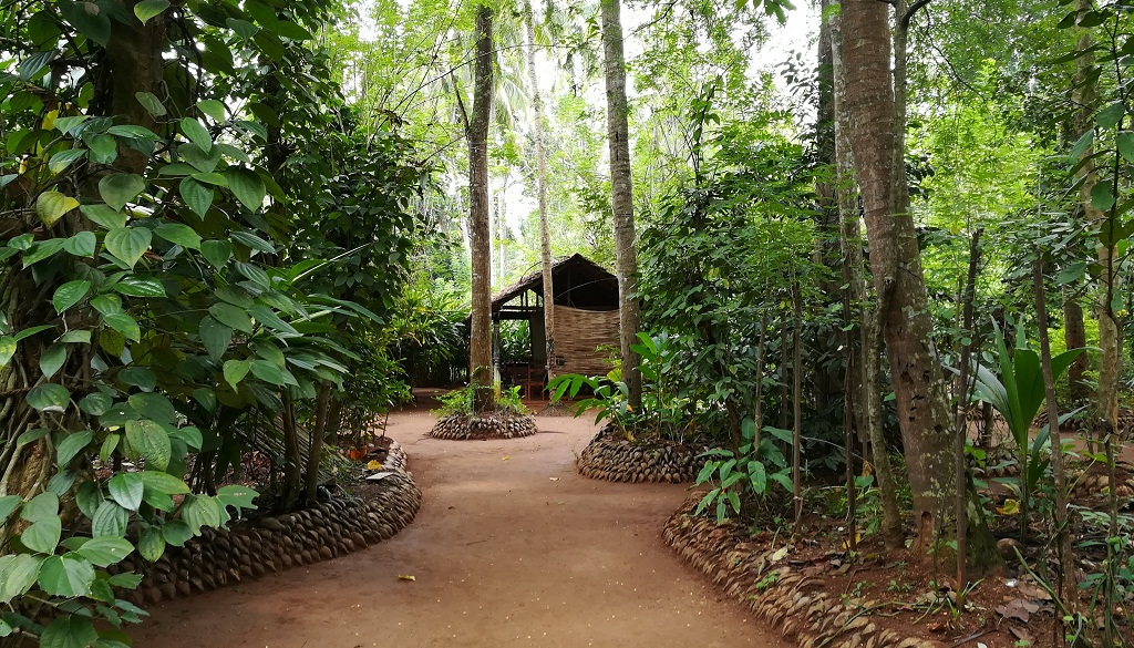 Spice Garden Image 1